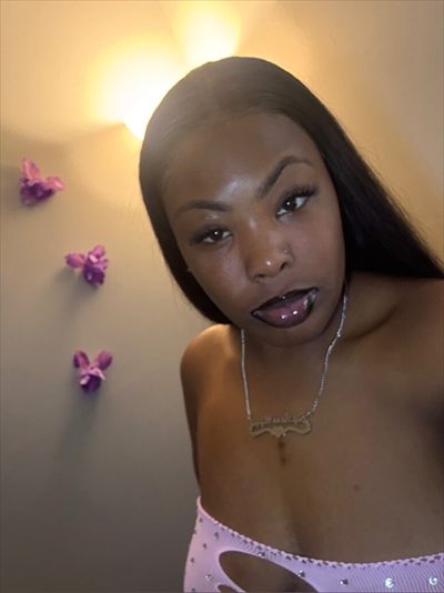 Freak Fantasy profile photo 2