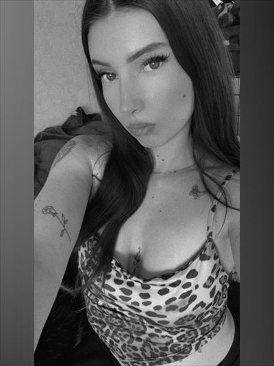Bribou