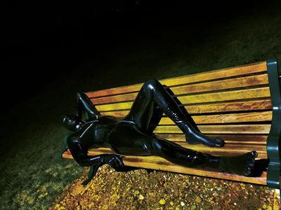 AlphaPupBenji profile photo 2