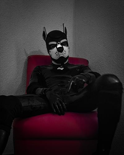 Cano ⚔️🐾 profile photo 2