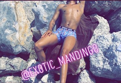 exoticmandingo profile photo 2