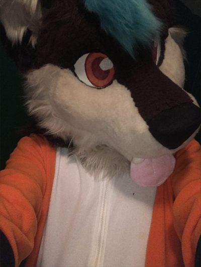 TypicalPanWolf