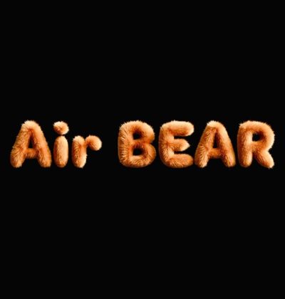 Air_BEAR_ profile photo 2