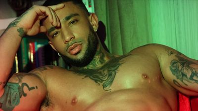 Zed LEROI profile photo 2