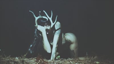 Vesper  -they/them- profile photo 2