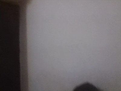 Vance profile photo 2