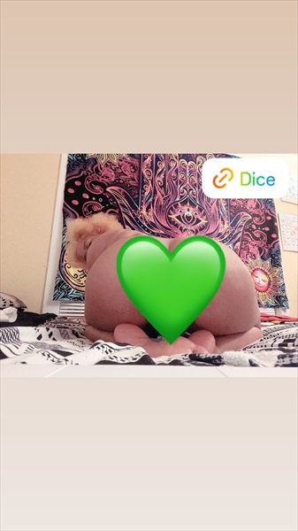 Dice