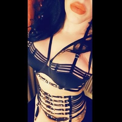 Persianpussycat profile photo 2