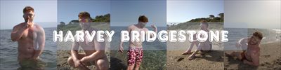 Harvey stonebridge profile photo 2