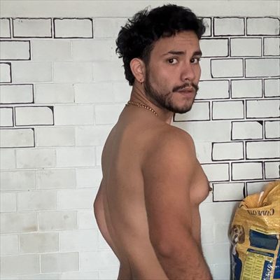 Memo Desnudo