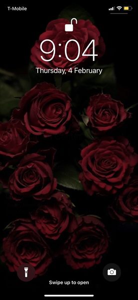 Afropapii🌹 profile photo 2