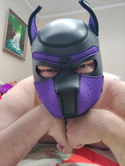 Pup Lace profile photo 2