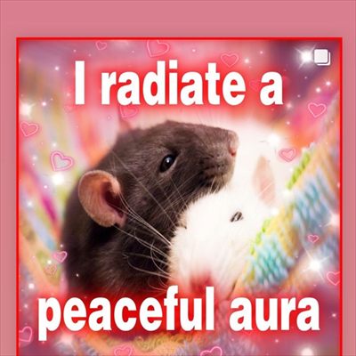 ninaf777★彡🐀