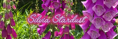 Silvia Stardust profile photo 2