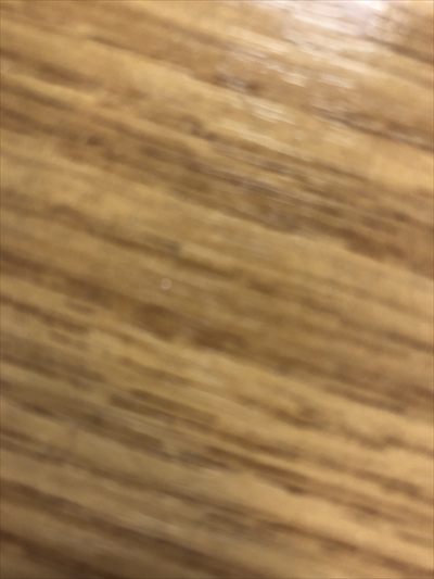 Bear 🐻 cub profile photo 2