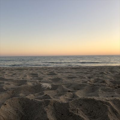 Jarred profile photo 2