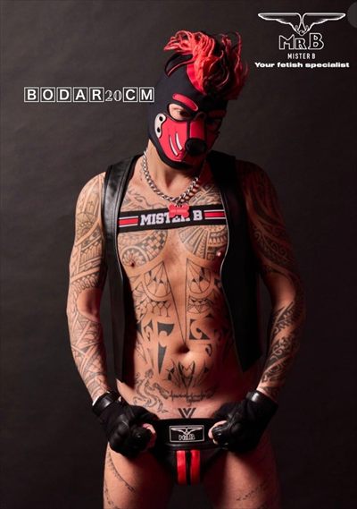 Bodar20cm profile photo 3