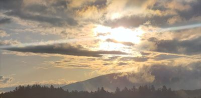 Adirondack Bear profile photo 2