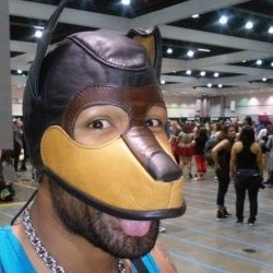 PupJcub