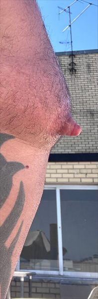 Capital Nip Pig 🐽
