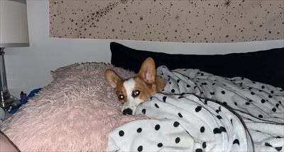 coll profile photo 2