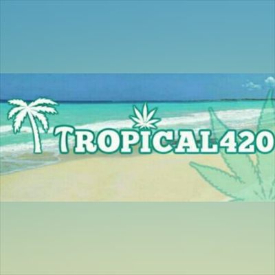 Tropical420 profile photo 2
