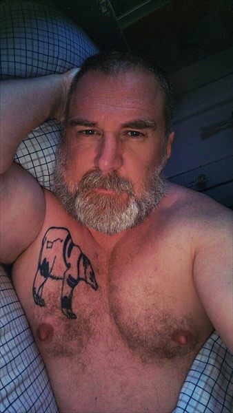 The Daddy Bear Life