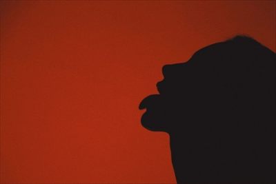 VelvetVixxen profile photo 2