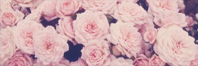 C H L O É  💗🌸🦄