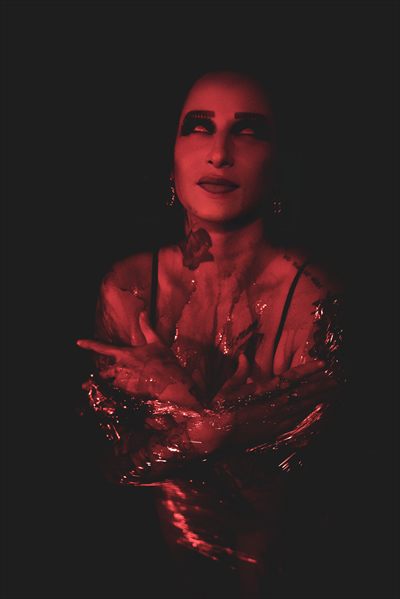 Lex smith profile photo 2