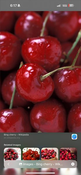 Dezodbaby 🍒 profile photo 2