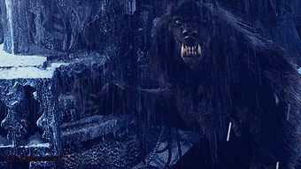 Wolfy profile photo 2