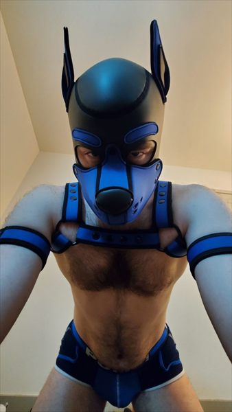 PupWarlock profile photo 2
