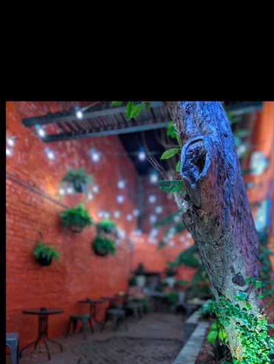 TeddyBearThiccBoi profile photo 2