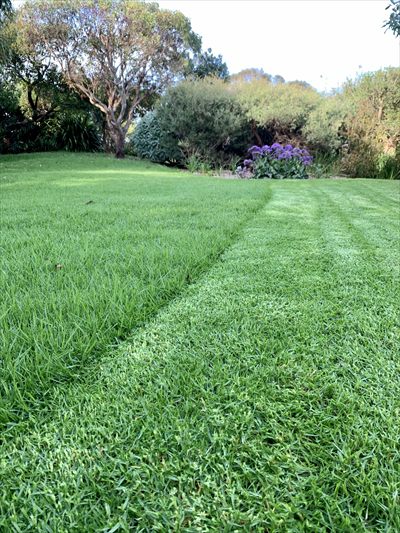 Only Lawns profile photo 2