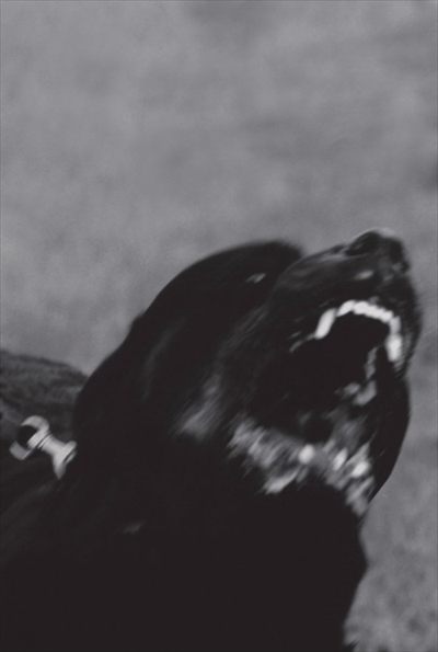 THE BLACK VON D profile photo 2