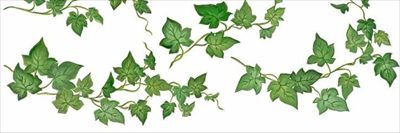 Ivy de la Courte profile photo 2