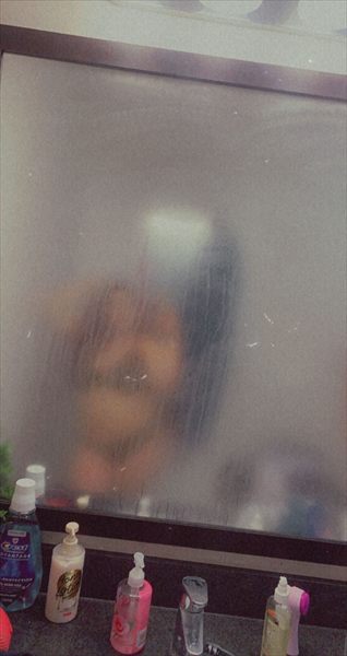 D. profile photo 2
