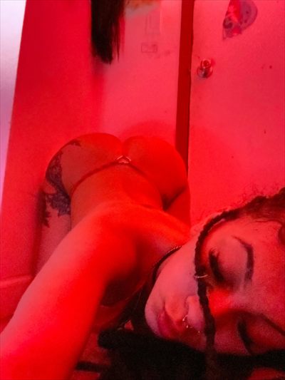 Boricuaamami profile photo 2
