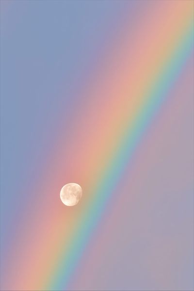 rainbow.delicious profile photo 2