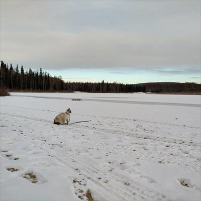 Milo Mittens profile photo 2