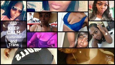 Ts Vixen Coxx profile photo 2