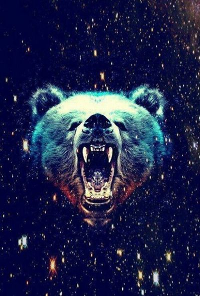 GRIZZ profile photo 2
