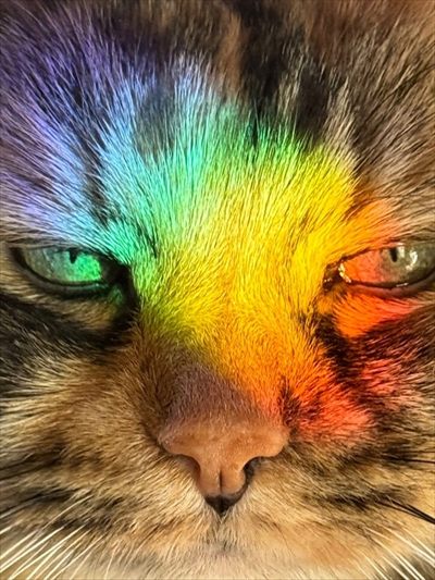 AdamCainXXX profile photo 2