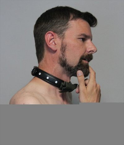 the scruffy otter profile photo 3