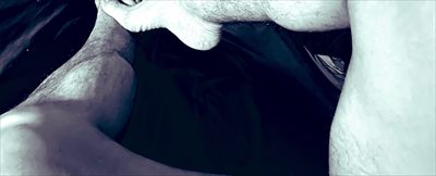 Anthony 👣 profile photo 2