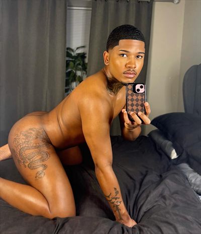shawn v profile photo 2