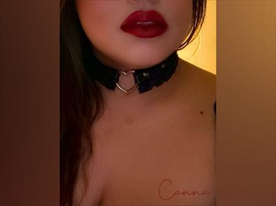 Canna Curves profile photo 3