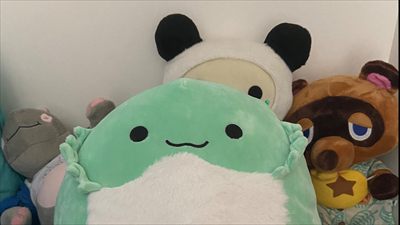 Panda profile photo 2