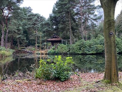 Forest Green profile photo 2
